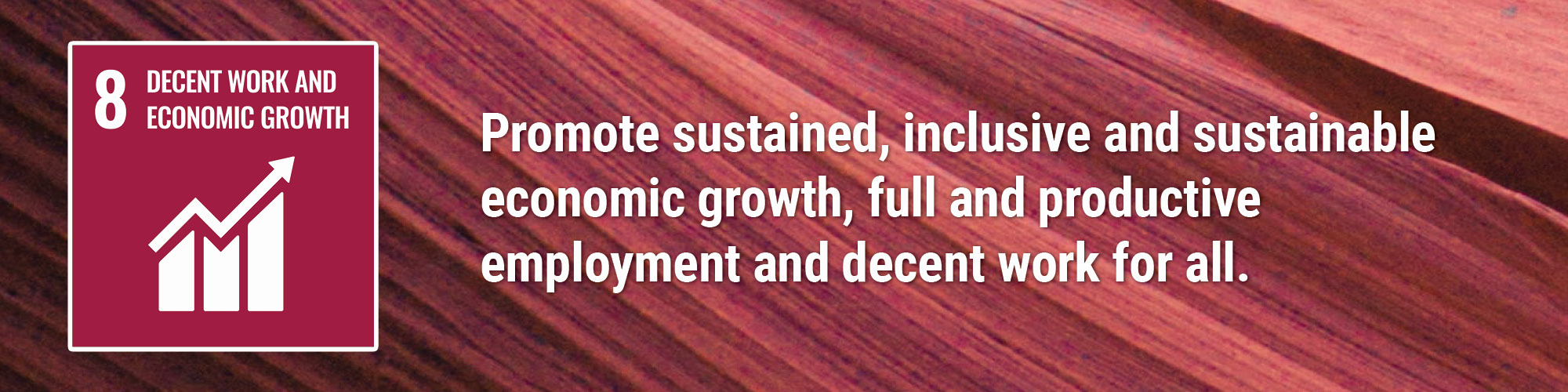 Promote sustained, inclusive and sustainable economic growth, full and productive employment and decent work for all.