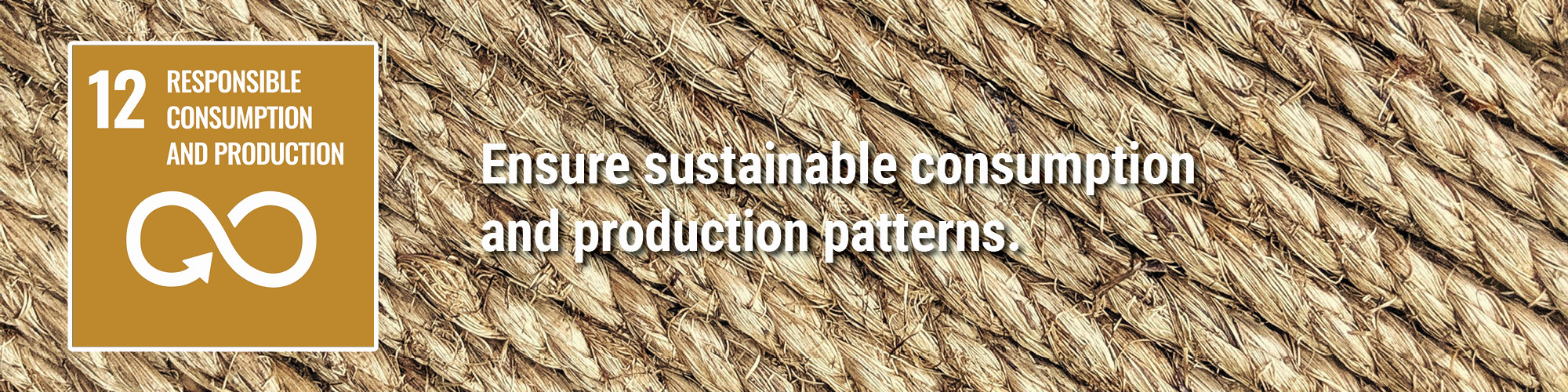 Ensure sustainable consumption and production patterns.