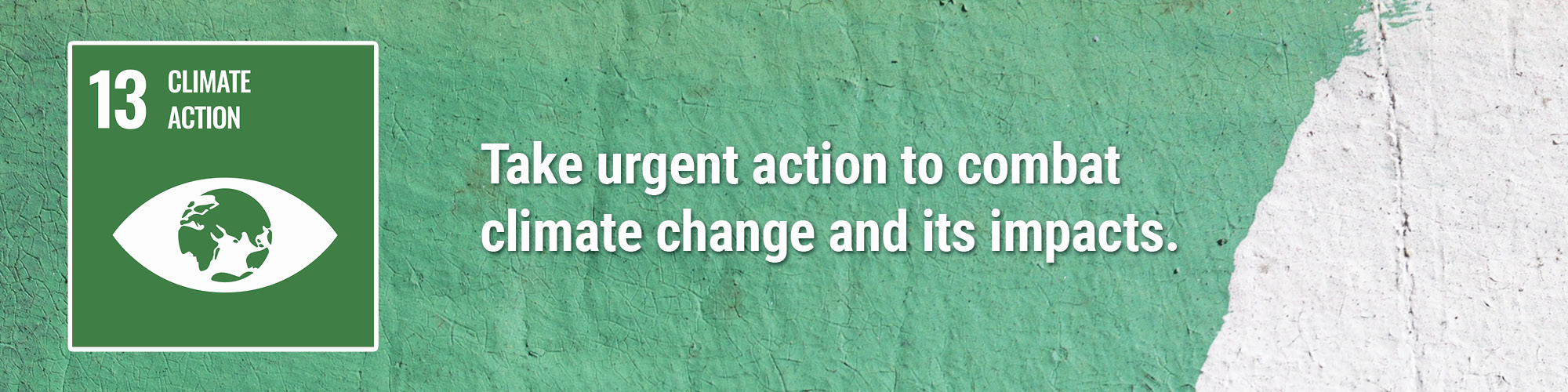 Take urgent action to combat climate change and its impacts*