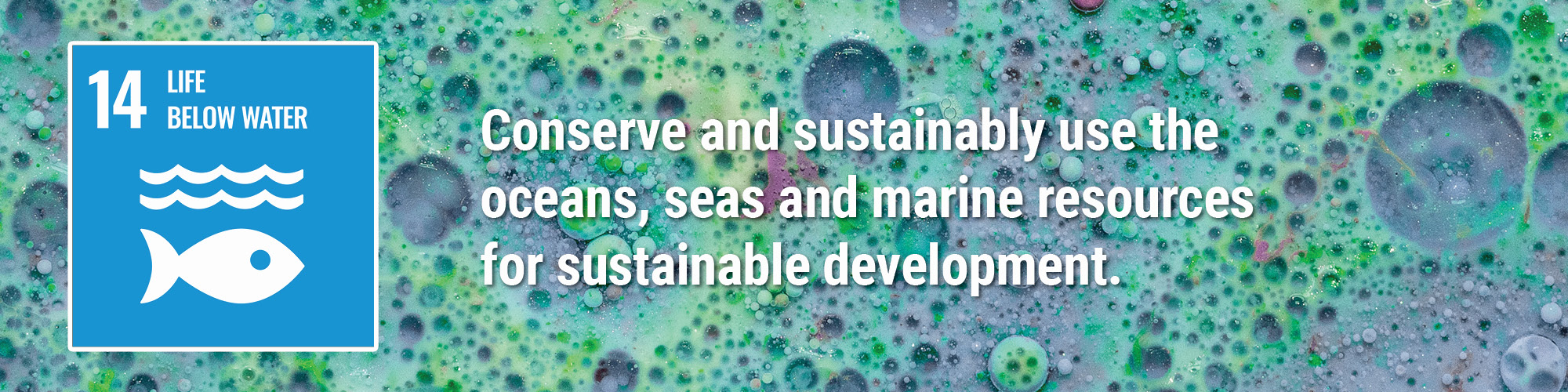 Conserve and sustainably use the oceans, seas and marine resources for sustainable development.