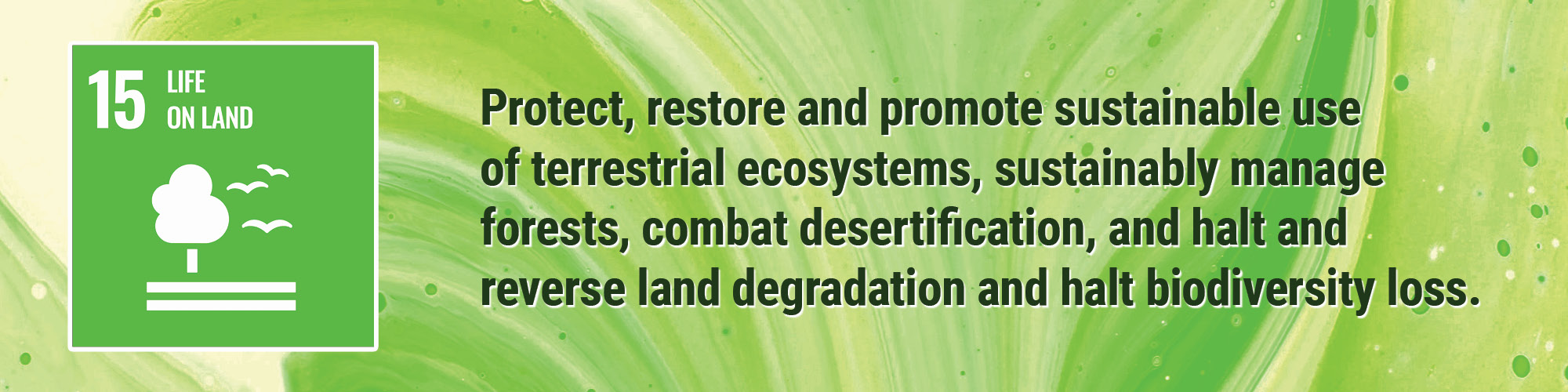 Protect, restore and promote sustainable use of terrestrial ecosystems, sustainably manage forests, combat desertification, and halt and reverse land degradation and halt biodiversity loss.