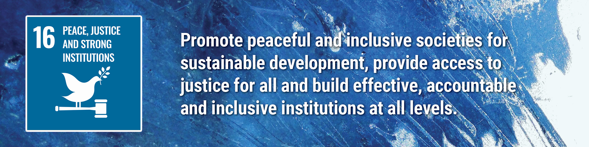 Promote peaceful and inclusive societies for sustainable development, provide access to justice for all and build effective, accountable and inclusive institutions at all levels.