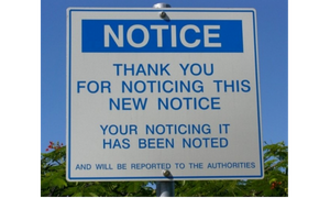 Notice the Notice About Noticing