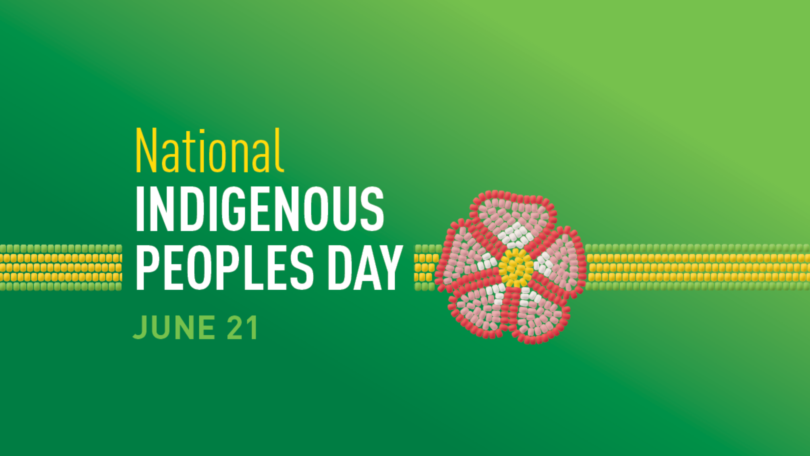 Indigenous Peoples Day Flag