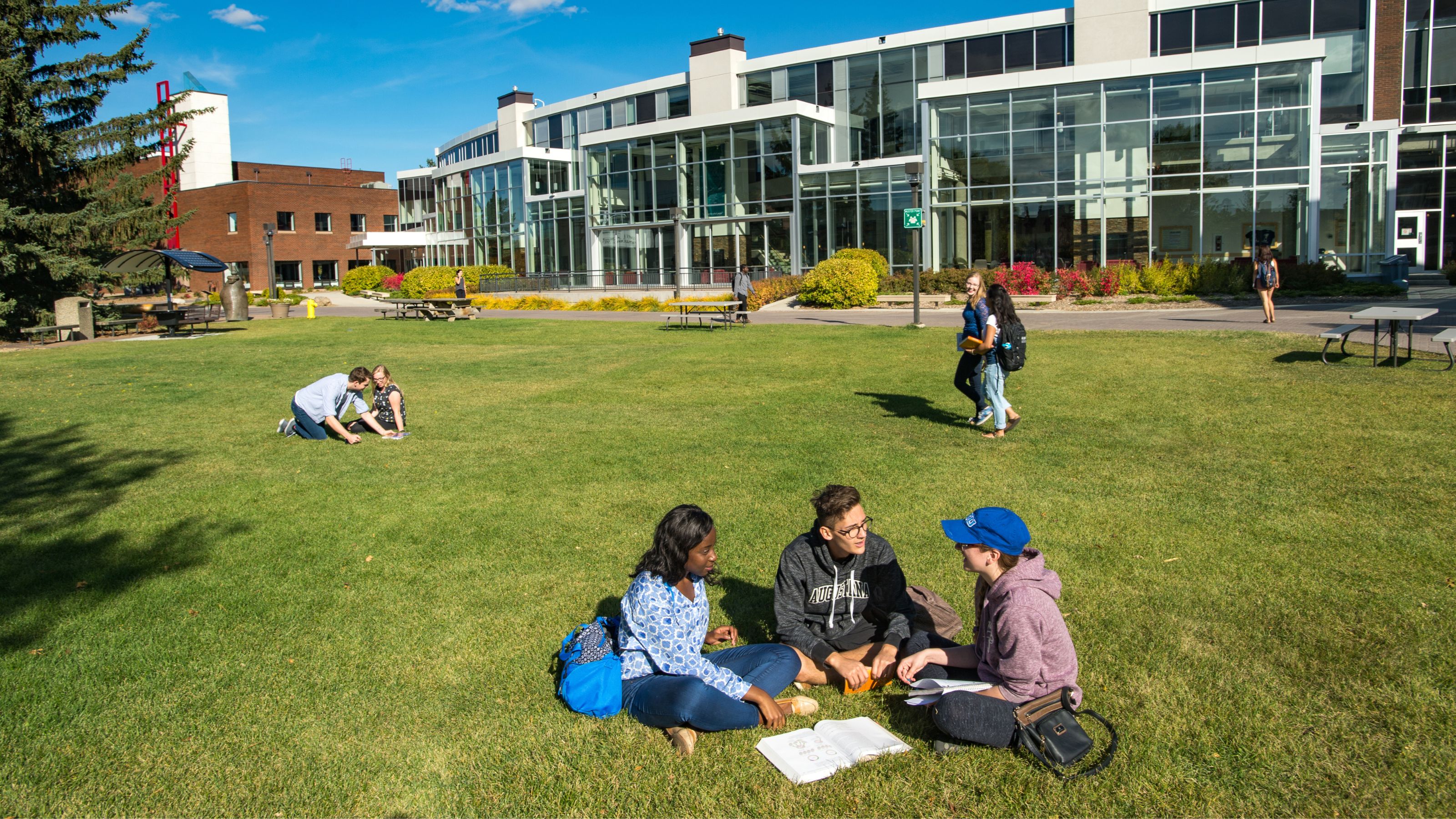 Students sitting outside in the grass at the University of Alberta Augustana Campus