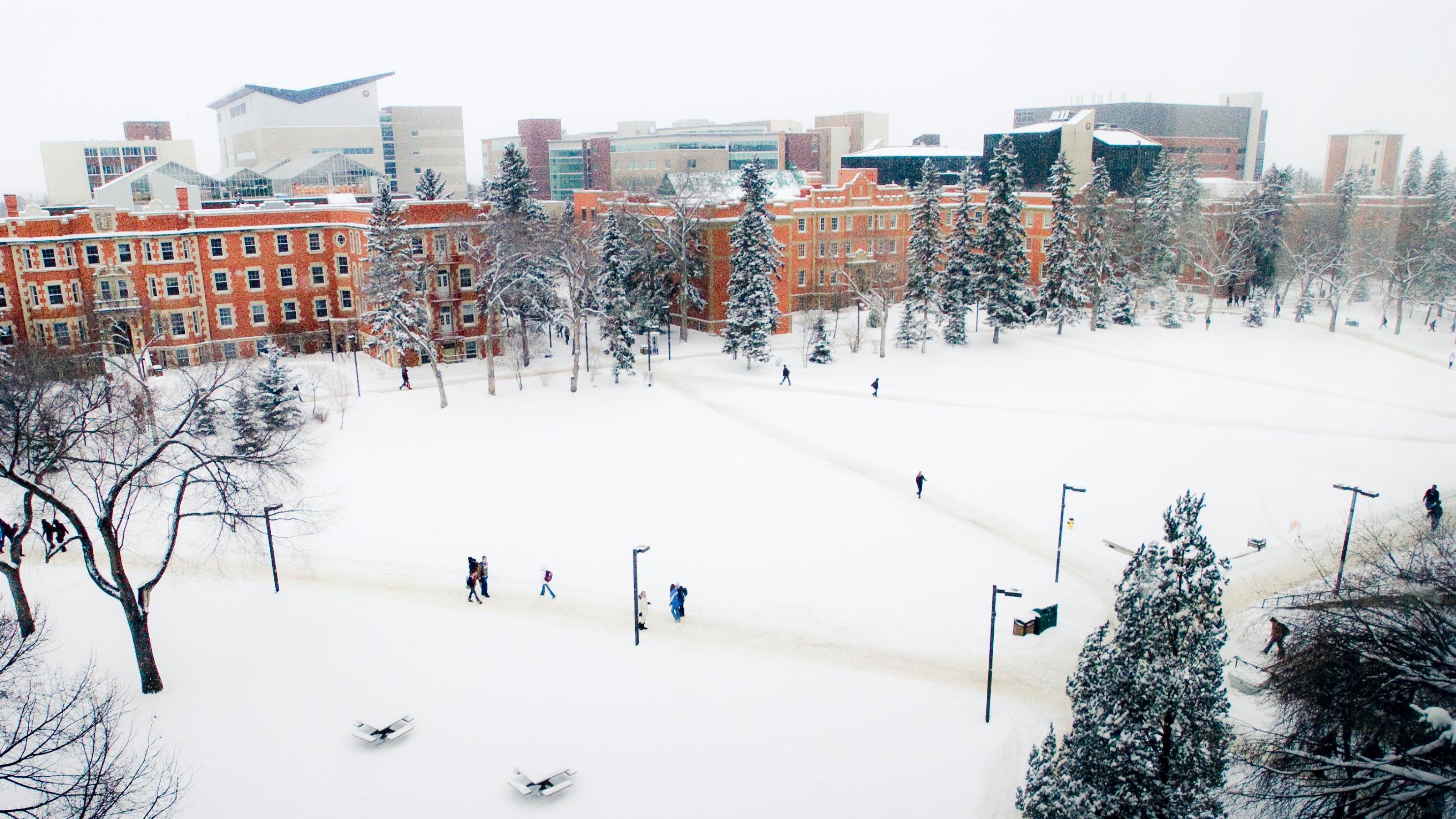 outdoor winter scene of main quad on North Campus
