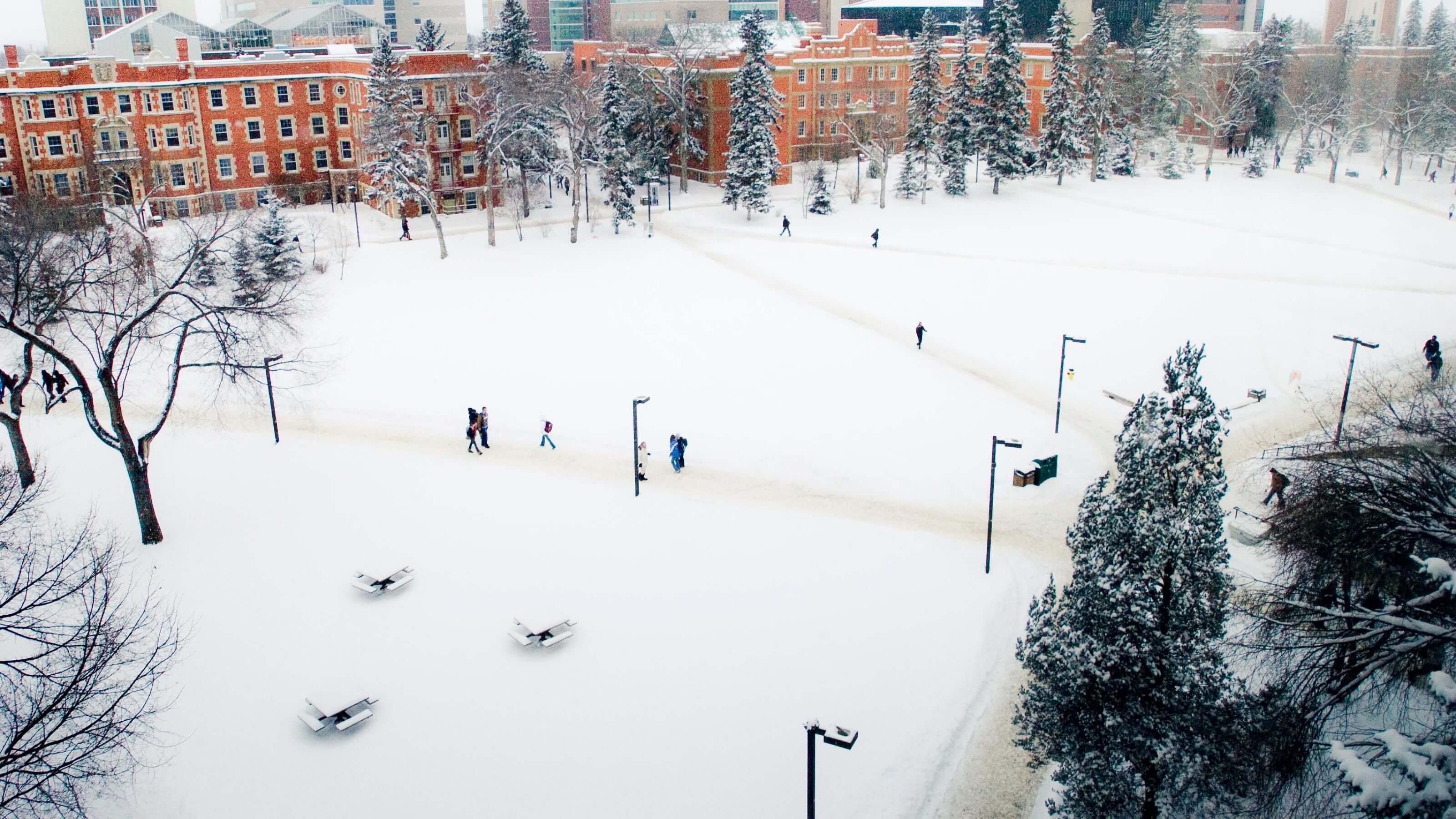 Campus In Winter