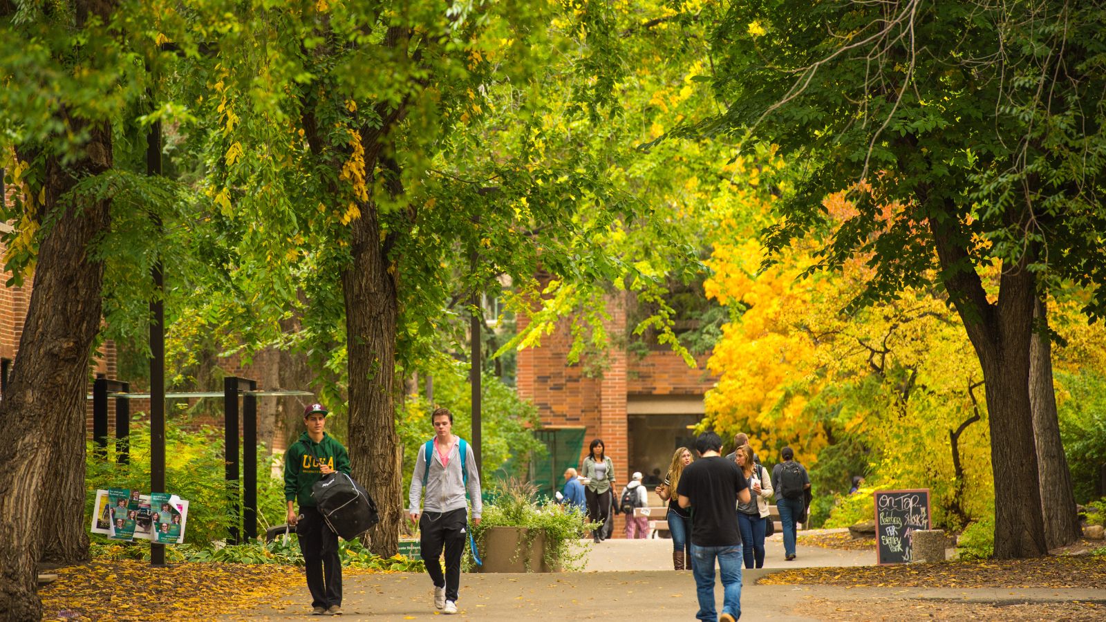 Fall on North Campus