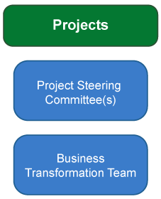 Projects - Project Steering Committee(s), Project Management Office