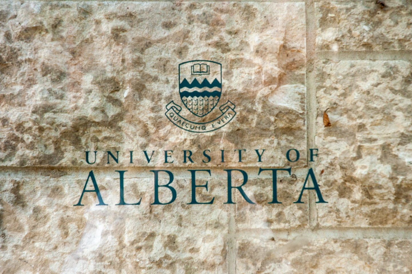 university-logo.jpg