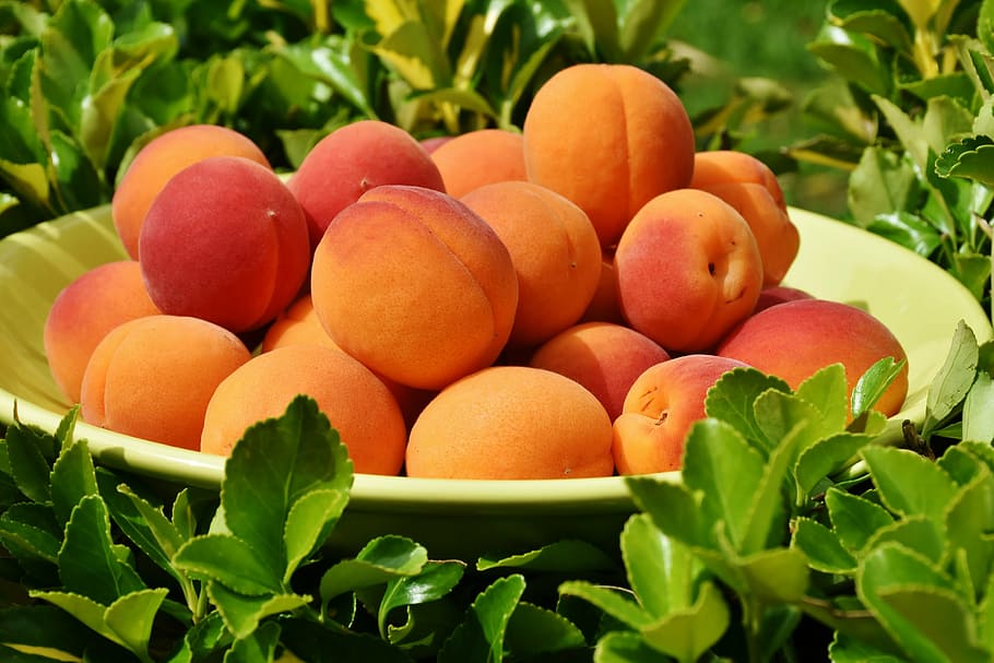 apricots-apricot-fruit-fruits.jpeg