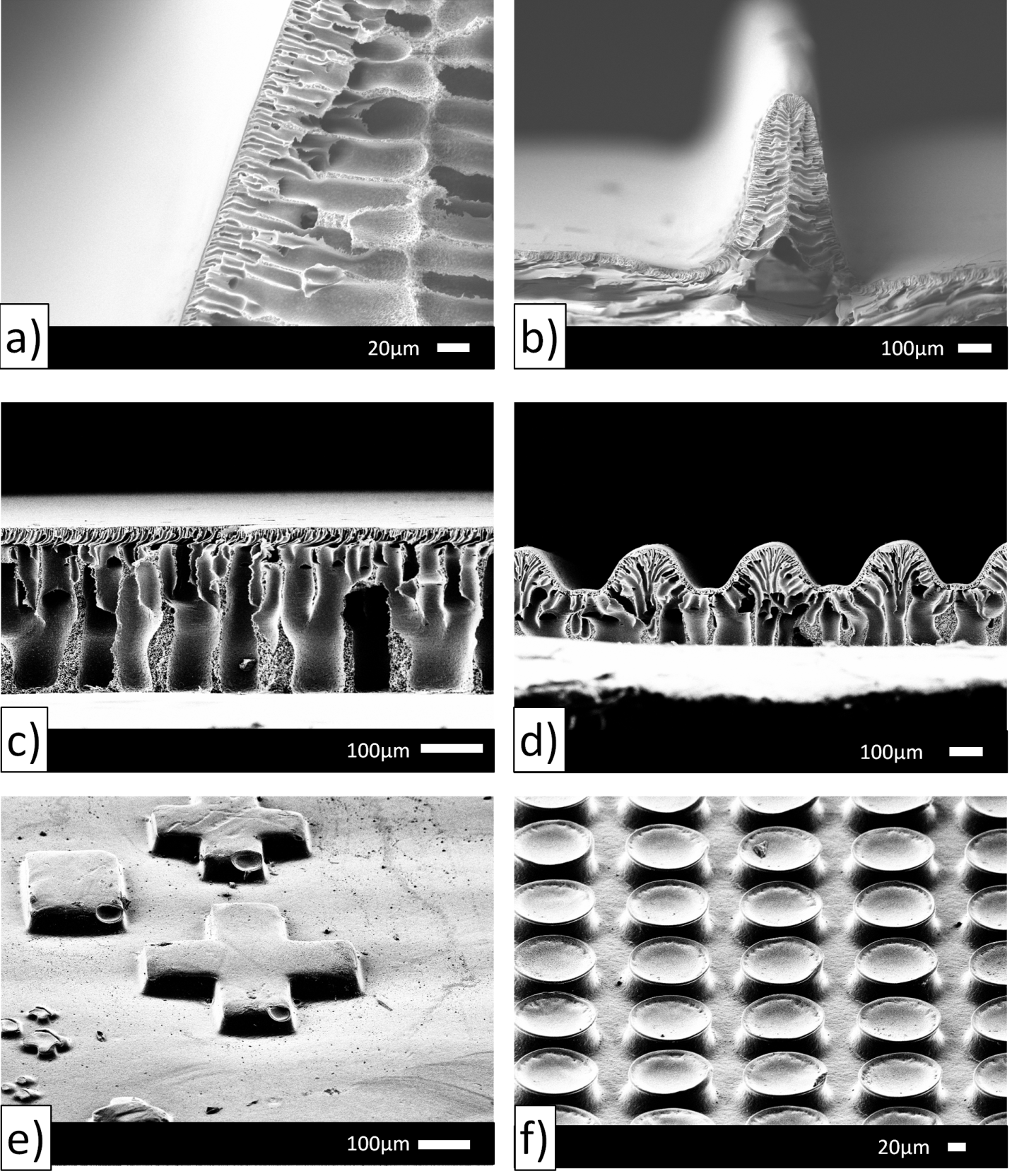 Scanning electron microscopy images of microstructured membranes for improved water filtration. The process was invented by a former student in Dr. Sameoto’s lab in collaboration with Dr. Sadrzadeh.